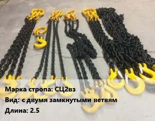 Строп цепной СЦ2вз с двумя замкнутыми ветвям L=2.5